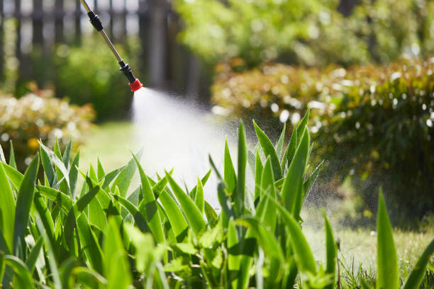 24/7 Emergency Mosquito Control experts in Glen Burnie, MD