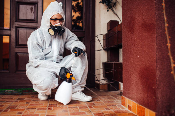 Reliable Mosquito Control contractor in Glen Burnie, MD by Show Me Pest Control